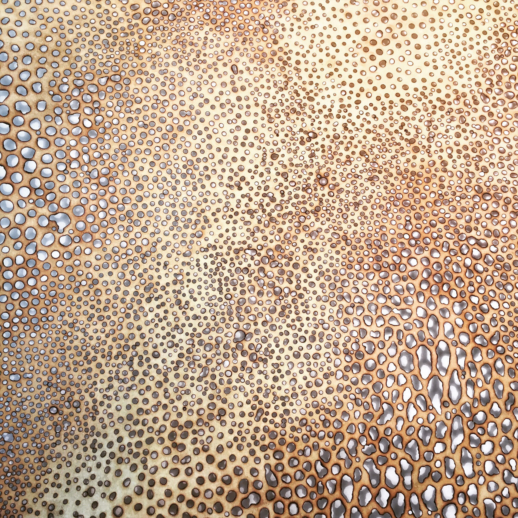 Transience, 2020, paper burned with soldering iron