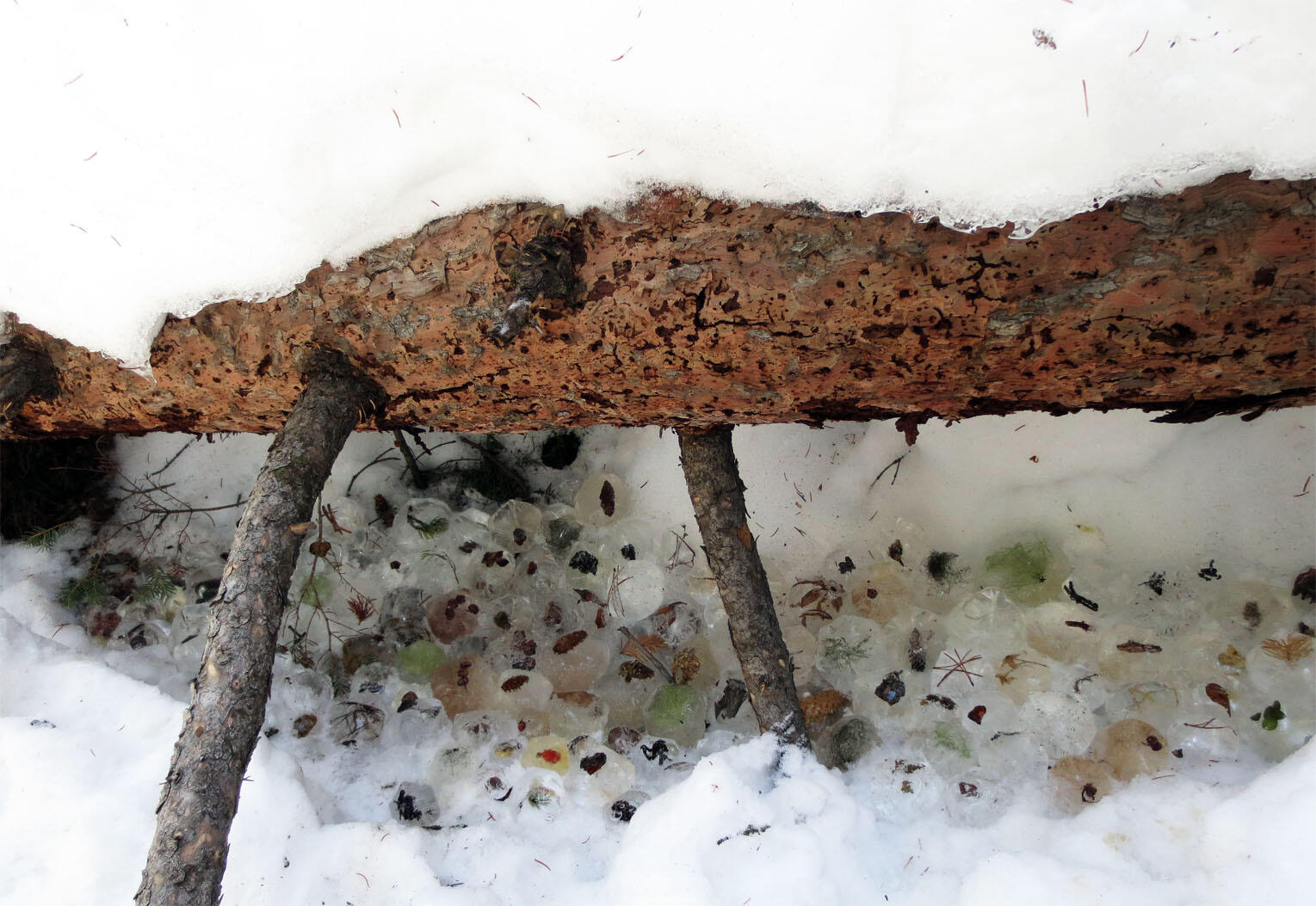 Cache, 2013, found natural materials, water, time